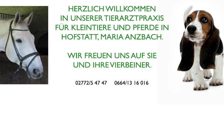 Willkommen in der Tierarztpraxis fr Kleintiere und Pferde in Hofstatt, Maria Anzbach